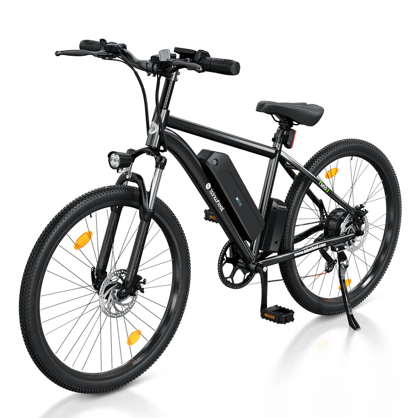 isinwheel M10 Electric Bike