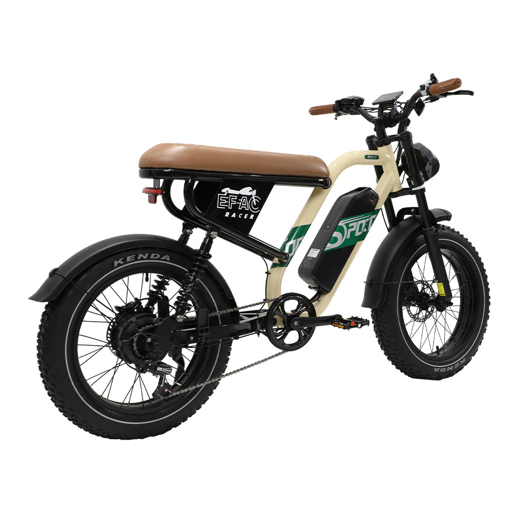 Duotts W66 Electric Bike