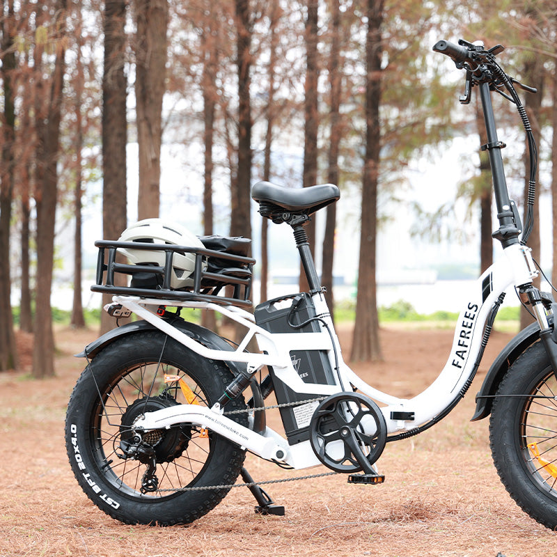 Fafrees aizmugurējā bagāžas nodalījuma grozs