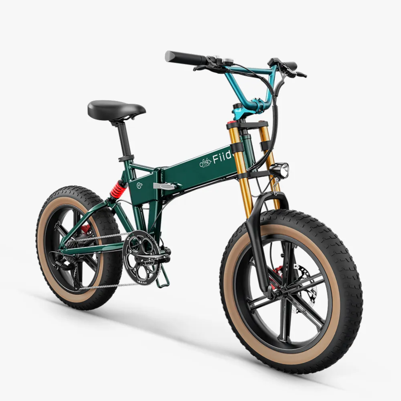 Fiido M1 Pro Electric Bike