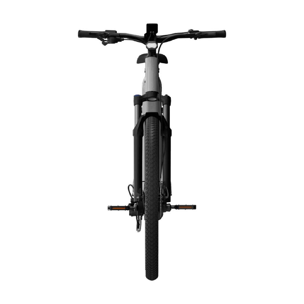 Electric bicycle TENWAYS AGO X Special Edition, 29" Silver product image