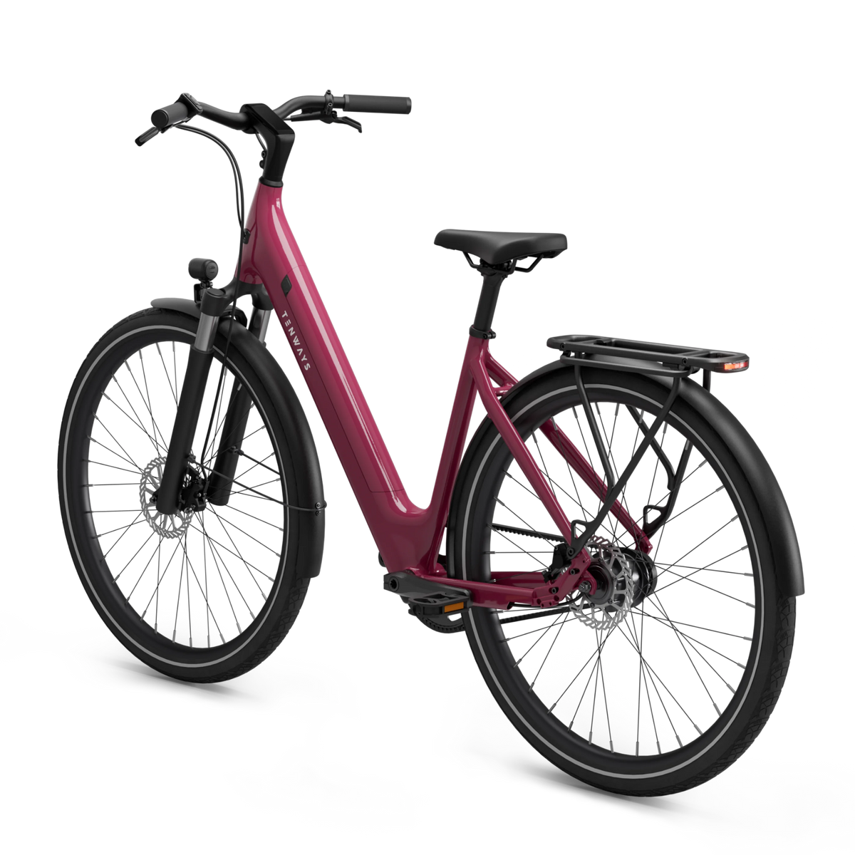 Electric bicycle TENWAYS CGO800S, Wild Berry product image