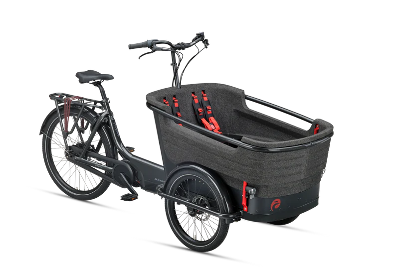 Electric bike BATAVUS Fier 3 product image
